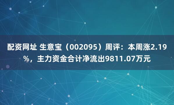 配资网址 生意宝（002095）周评：本周涨2.19%，主力资金合计净流出9811.07万元