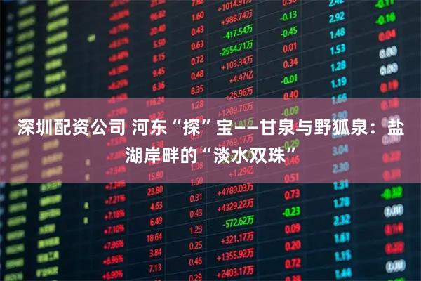 深圳配资公司 河东“探”宝——甘泉与野狐泉：盐湖岸畔的“淡水双珠”