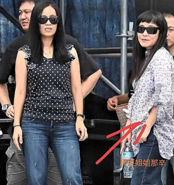 配资网址 那英57岁婚变风波？亲姐出手砍断丈夫财路，姐姐那辛才是真大佬！