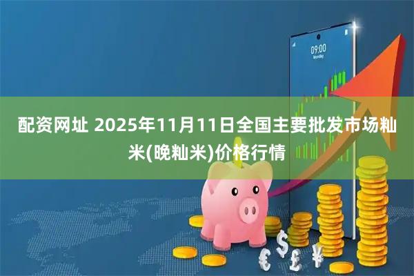 配资网址 2025年11月11日全国主要批发市场籼米(晚籼米)价格行情